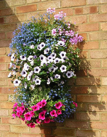 Flower Tower Wall Mounted Planter 3 Pack