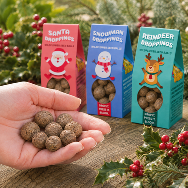 Three gift boxes of wildflower seed balls in Santa Droppings, Snowman Droppings, and Reindeer Droppings are shown behind a hand holding several of the brown round seed balls on a wooden surface with holly and berries in the background.