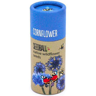 Wildflower Seedball Tube - Cornflower