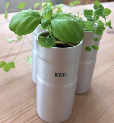 Seedball Italian Herb Kitchen