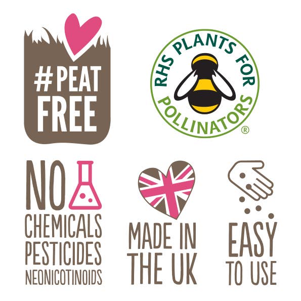 Seedball Wildflower Grab Bag - Butterfly Mix