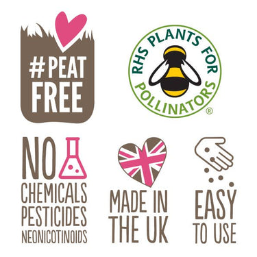 Seedball Wildflower Tube - Poppy