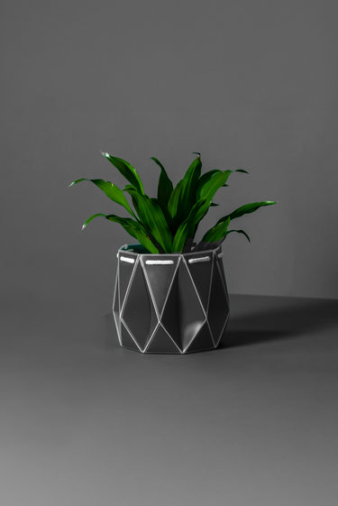 Self-Watering 15cm Coral POTR Pot