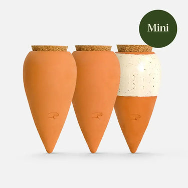 Three carrot-shaped planters with cork bases on a white background, labeled 'Mini'.