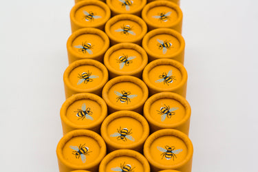 Seedball Wildflower Tube - Oxeye Daisy