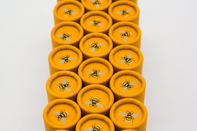 Seedball Wildflower Tube - Oxeye Daisy