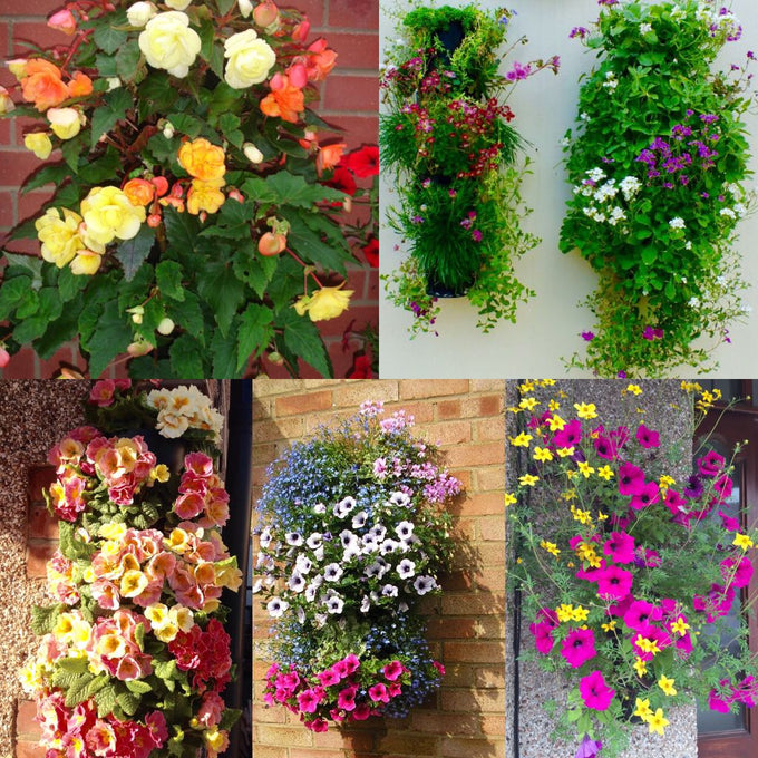 Flower Tower Wall Mounted Planter 3 Pack