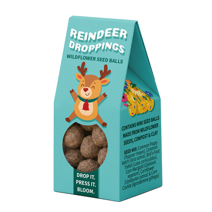 Reindeer Droppings Wildflower Seed Balls Stocking Christmas