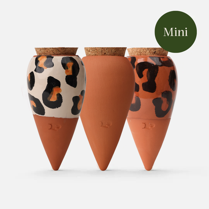 Box Trio Mini Ollas - The Leopards