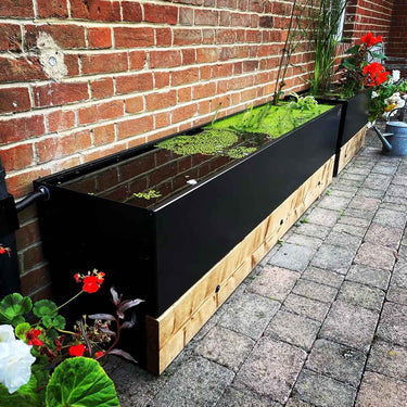 Dipping Tank - 2m with Timber Fascia