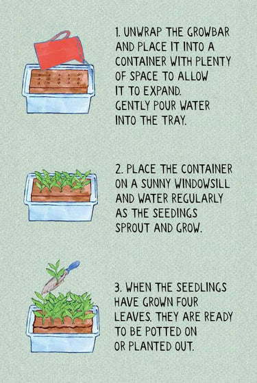 The Bug Growbar