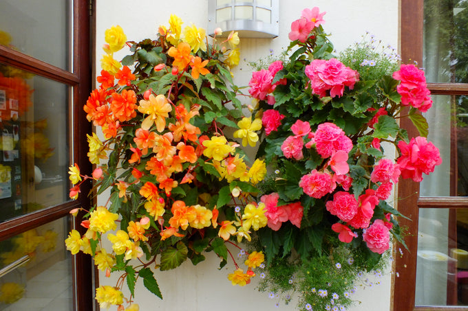Flower Tower Wall Mounted Planter