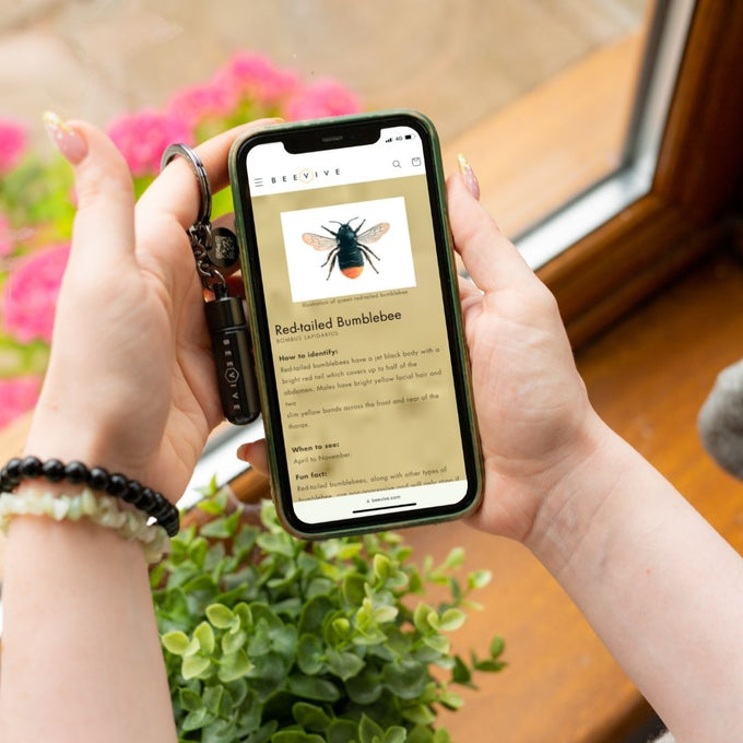 The Original Bee Revival Kit - Rose Gold with Bee ID Tag