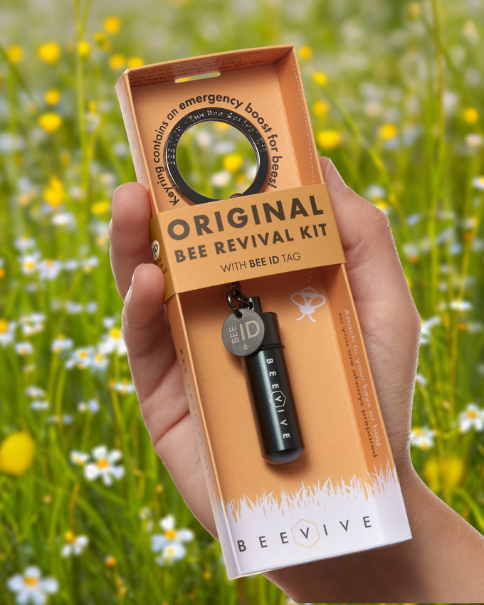 The Original Bee Revival Kit - Black with Bee ID Tag