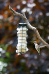 Wool Bird Nesting Material