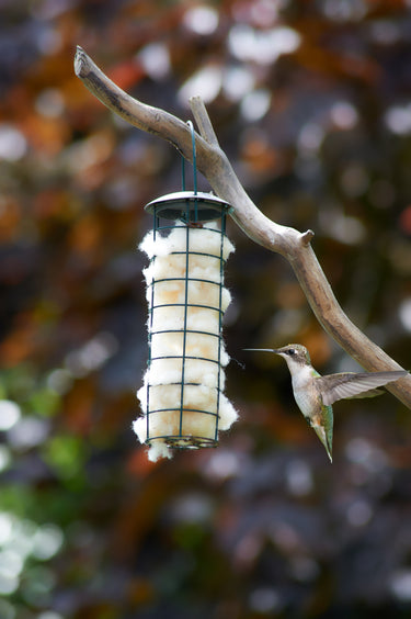 Wool Bird Nesting Material