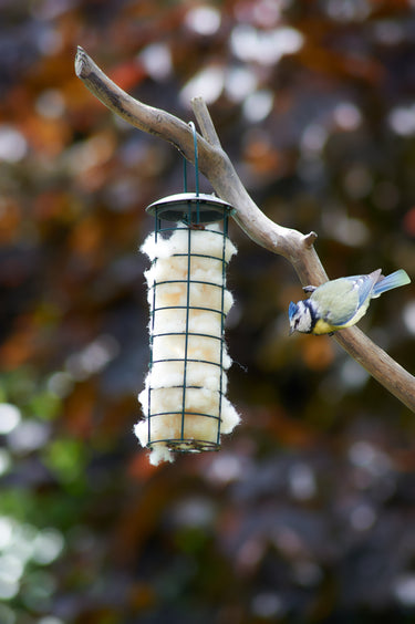 Wool Bird Nesting Material