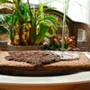 Peat-Free Coconut Compost - 30 litres