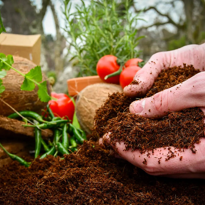Peat-Free Coconut Compost - 30 litres