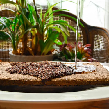 Peat-Free Coconut Compost - 6 litres