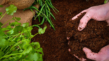 Peat-Free Coconut Compost - 72 litres