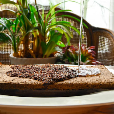 Peat-Free Coconut Compost - 72 litres