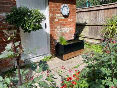 Dipping Tank - 1m with Timber Fascia