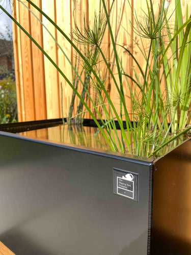 Dipping Tank - 60cm with Bug Hotel Facia