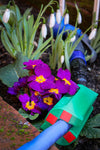 Plantsurge Magnetic Plant Growth Booster