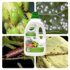 Ecoworm 1 litre Potassium Soap Concentrate