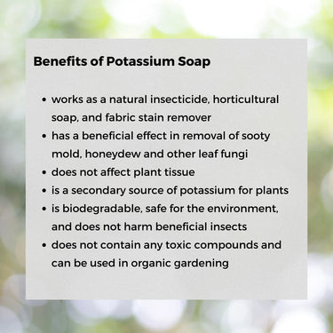 Ecoworm 1 litre Potassium Soap Concentrate