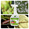 Ecoworm 500ml Potassium Soap Spray