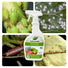 Ecoworm 500ml Potassium Soap Spray