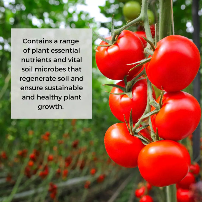 Ecoworm 1 litre Sapropel Extract for All Plants