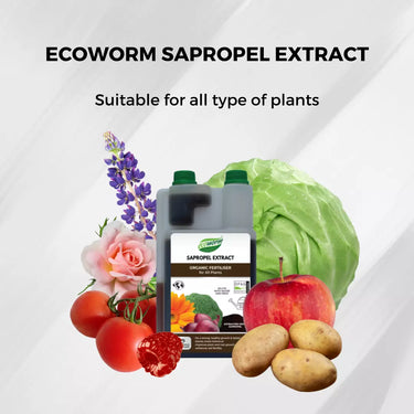 Ecoworm 1 litre Sapropel Extract for All Plants