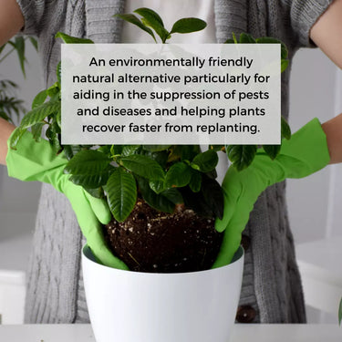 Ecoworm 1 litre Sapropel Extract for All Plants