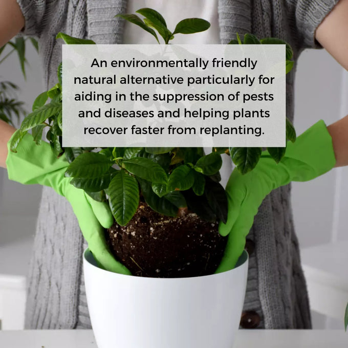 Ecoworm 1 litre Sapropel Extract for All Plants