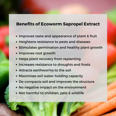 Ecoworm 1 litre Sapropel Extract for All Plants