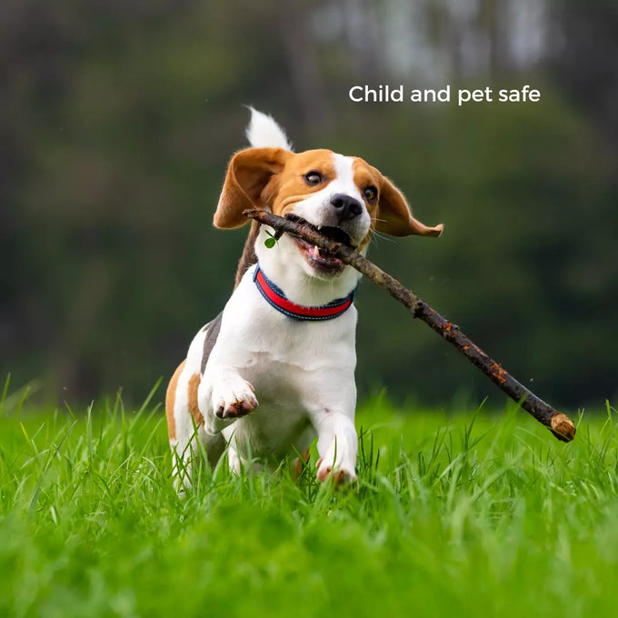 Ecoworm 1 litre Sapropel Extract for All Plants