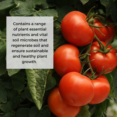 Ecoworm 1 litre Soil Extract for Tomatoes & Peppers