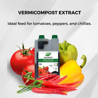 Ecoworm 1 litre Soil Extract for Tomatoes & Peppers