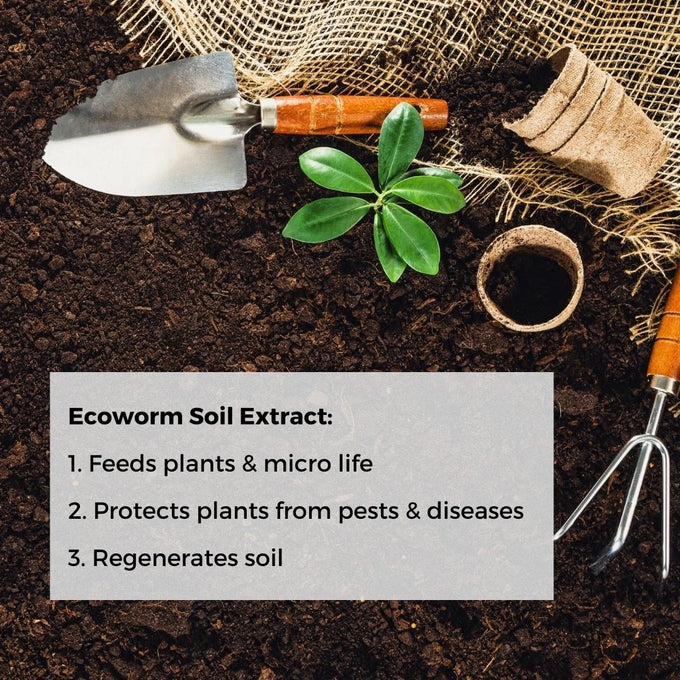 Ecoworm 1 litre Soil Extract for Tomatoes & Peppers