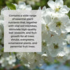 Ecoworm 1 litre Soil Extract for Trees & Shrubs
