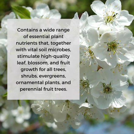 Ecoworm 1 litre Soil Extract for Trees & Shrubs