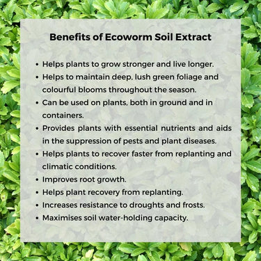 Ecoworm 1 litre Soil Extract for Trees & Shrubs