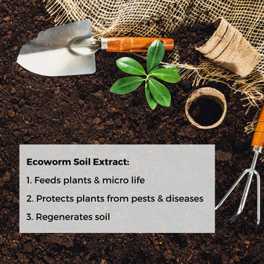 Ecoworm 1 litre Soil Extract for All Plants