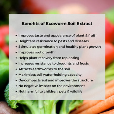 Ecoworm 1 litre Soil Extract for All Plants