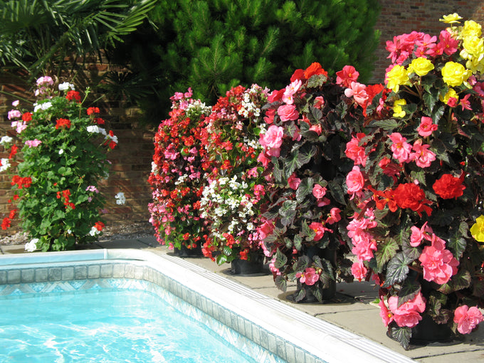 Flower Tower Vertical Floor Standing Planter