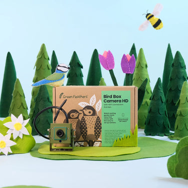 Green Feathers WiFi HD Camera for Bird Box & Wildlife Habitats