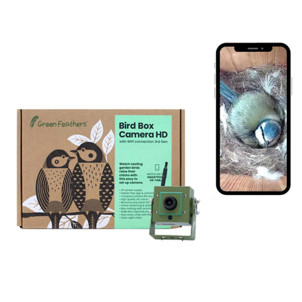 Green Feathers WiFi HD Camera for Bird Box & Wildlife Habitats